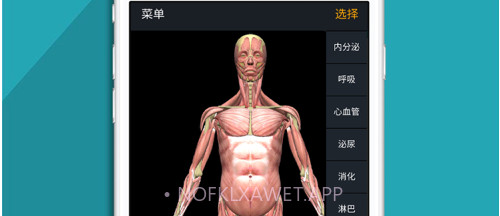 人体护理v1.9截图