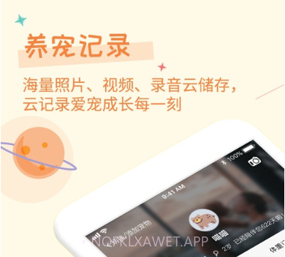 爱宠纪v1.0.15截图
