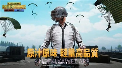 PUBG MOBILE Indiav1.9.6截图
