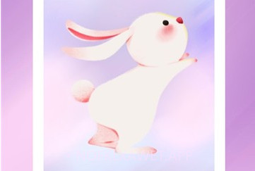 活力魔兔计步v1.0.9截图
