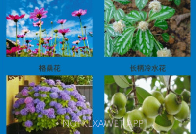 神农花草园艺v1.0.7截图