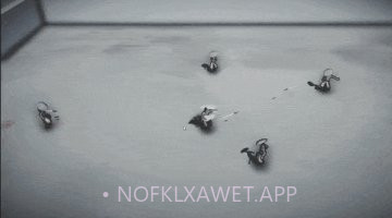 无极道人APPv2.44截图