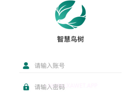 智慧鸟树v1.8截图