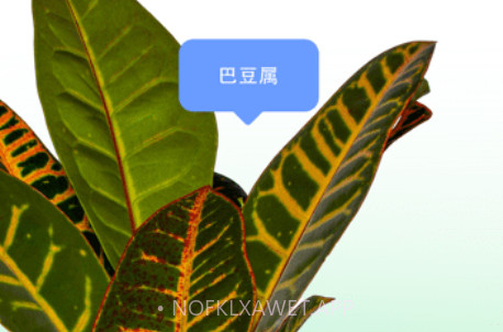 爱自然IDv5.8截图