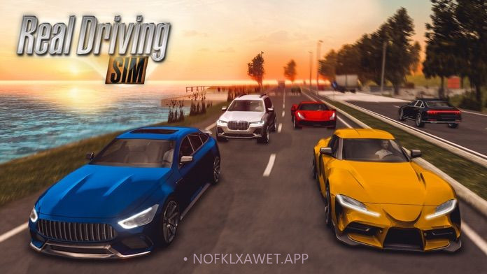 Real Driving Sim1.4截图