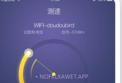 极速测网速v1.0.11截图