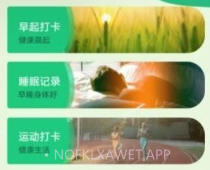 全全薄荷走路v1.0.11截图