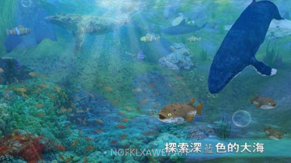全民养鲨鱼v1.0.12截图