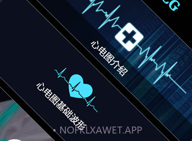 心电图ECGv1.10截图