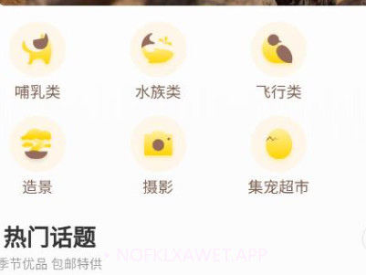 集宠区v1 鐎瑰宕渧1.10截图