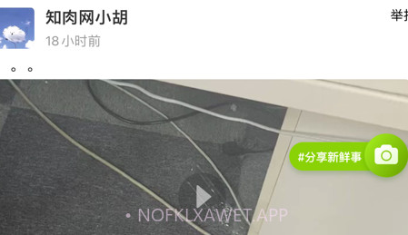 知肉网v1.9截图