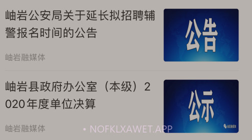 秀岫岩v1.0.13截图