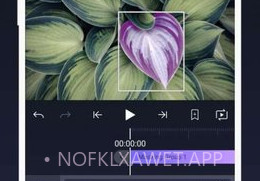 Alight Motion无水印版V4.0.9截图