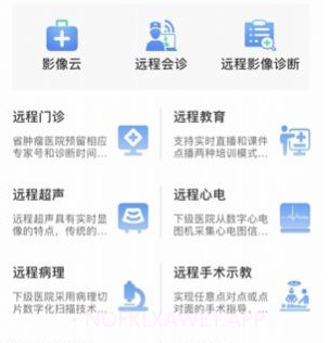 辽宁专科联盟v1.12截图
