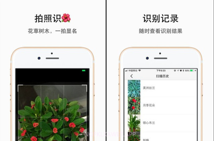 plantyx植物识别v1.0.13截图