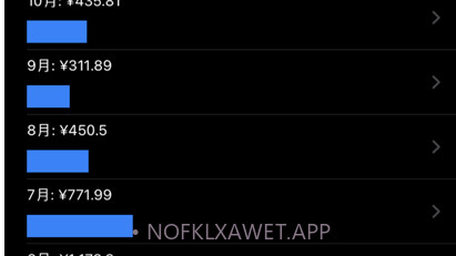 简明记账v1.10截图