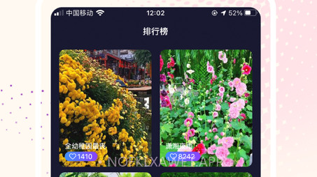 视频壁纸大全v1.11截图