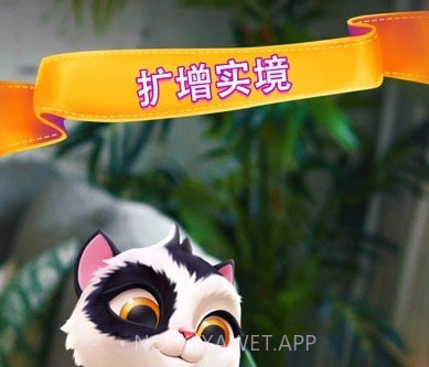 My Catv2.2.22截图