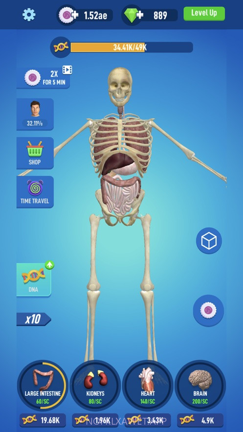 Idle Human 2v1.1.9截图