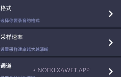 SR录音高手v6.0.9截图