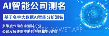 公司起名字大师v1.0.9截图