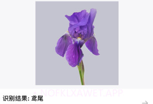 迅捷识物v1.11截图