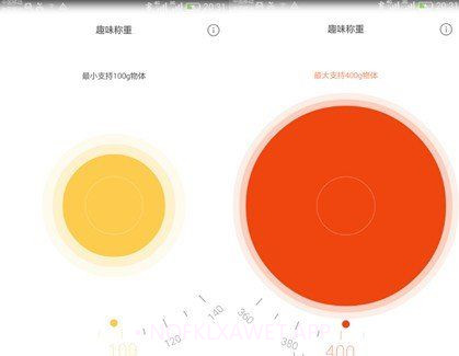 Scale趣味称重appv2.0.6截图