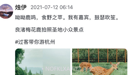 墨上花开v1.0.10截图